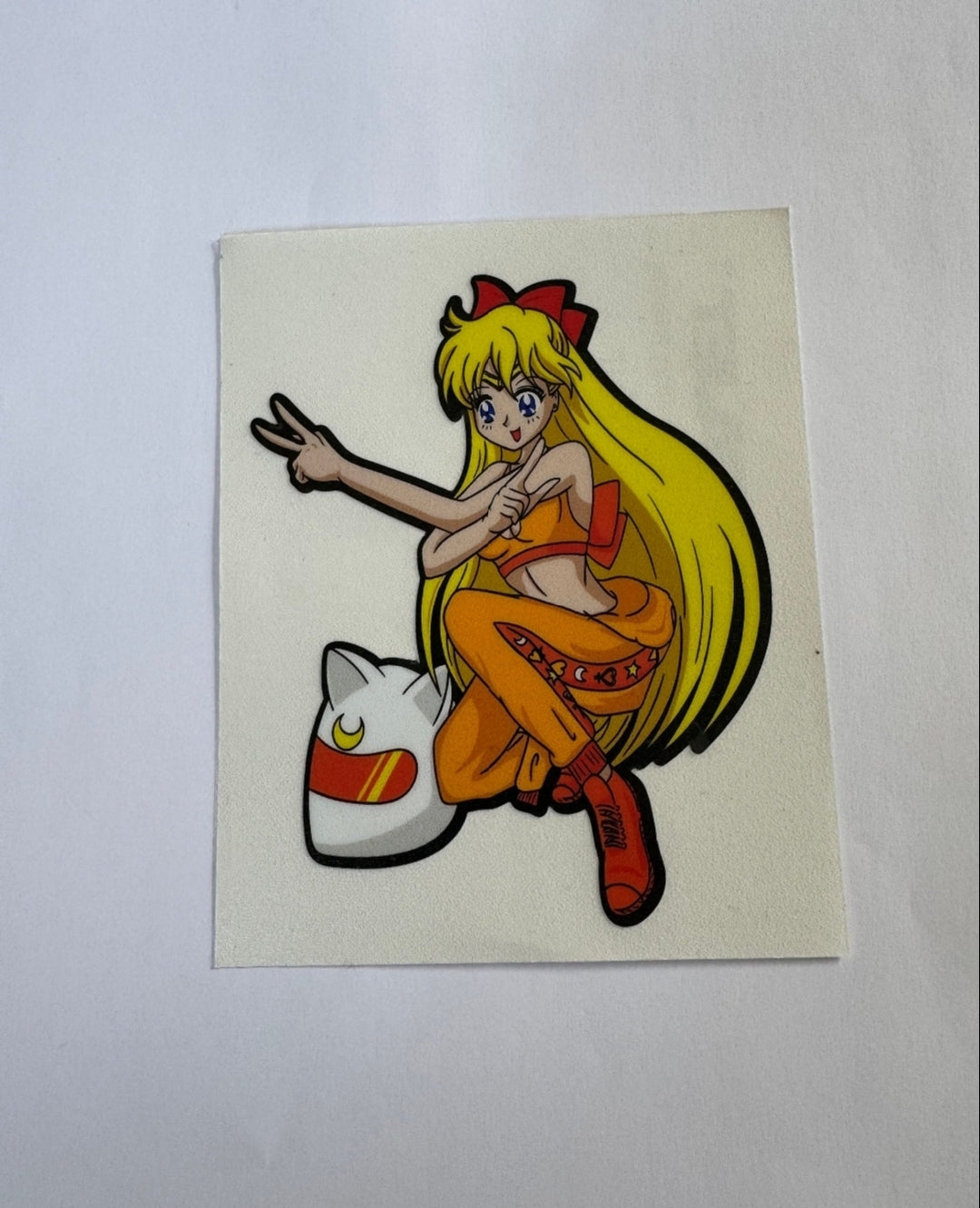 Sailor Moon Vinyl